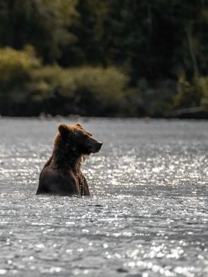 Сплав по реке Быстрой