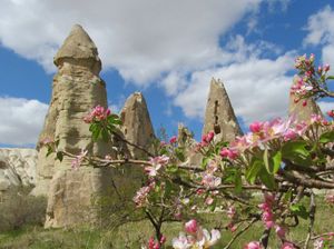 Музей под открытым небом - Розовая, Красная долины