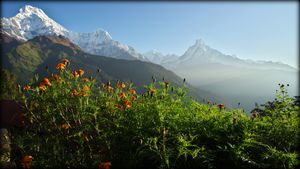Trek to Ghandruk (1,950m / 6,397 ft)