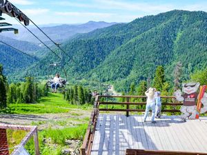 АЛТАЙСКИЕ ПЕЙЗАЖИ НА ДОРОГАХ