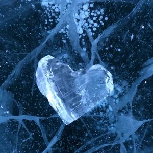 Возвращение в Иркутск