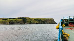 Мыс Шикотан