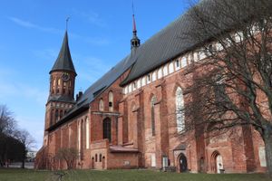 Встреча, экскурсия по Калининграду