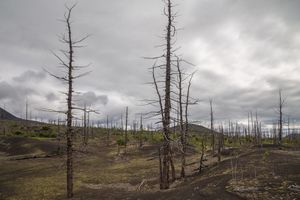 Вулкан Плоский Толбачик (подъем до 2000 м)