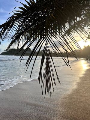 Трансфер в аэропорт