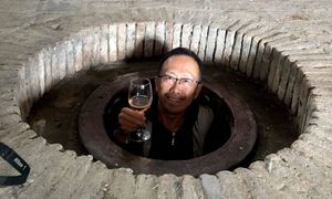 Вся Грузия за неделю