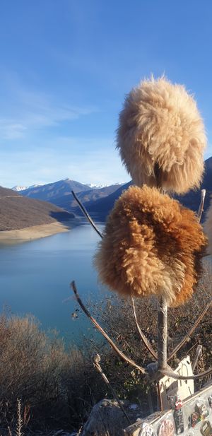 Величественный Казбег