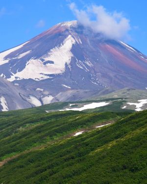 Экструзия Верблюд