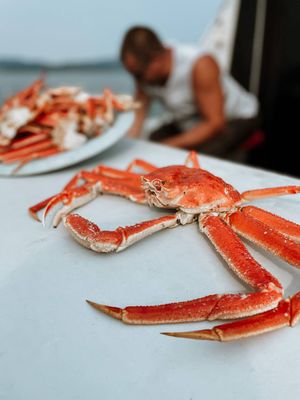 Крабовое сафари