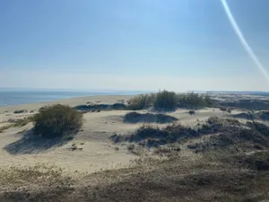 Куршская коса, Зеленоградск