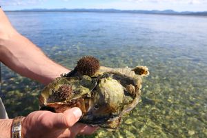 Озеро Буссе гастрономическая экскурсия