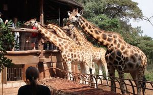 Giraffe Centre, Boat Ride - Lake Elementaita