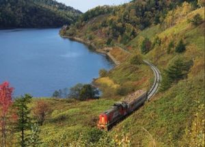 День с экскурсиями на выбор