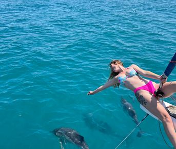 Морской тур с дельфинами