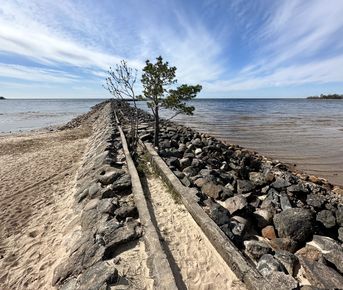 Тропа южного берега с ночевкой в домиках, Ленинградская область