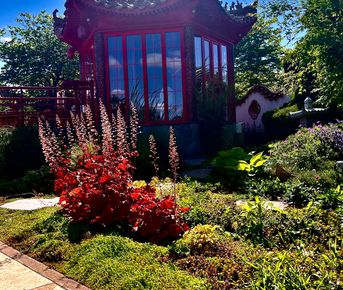 Кавказская перезагрузка