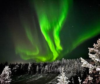 Сияние, Териберка и Киты. 3 дня ярких эмоций на Кольском!