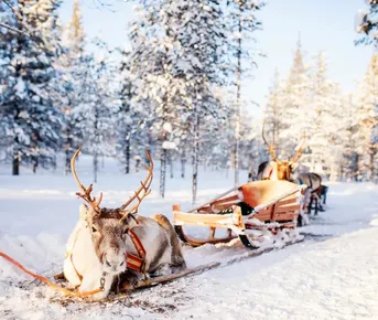 Новогодние приключения на Русском Севере