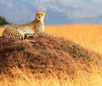 Тайны Долины Кидепо