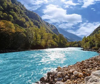 Сочи + Абхазия 3 дня