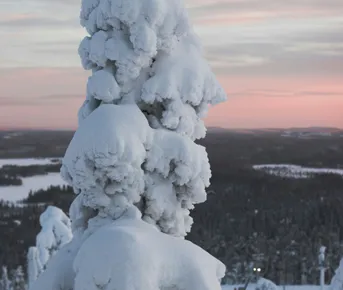 Из Мурманска в Кандалакшу — на Белое море!
