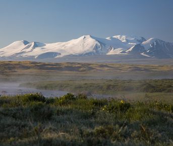 Тур на плато Укок 6 дней