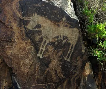 Петроглифы Тамбалы Тас Юнеско - в индивидуальном формате