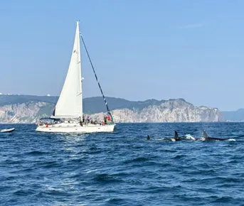 Камчатка: твое яркое знакомство с комфортом - Все включено