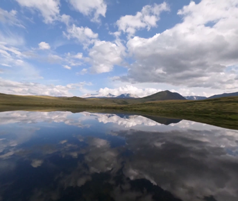 Едем вглубь Алтая. Беляши. Чок-Портас.