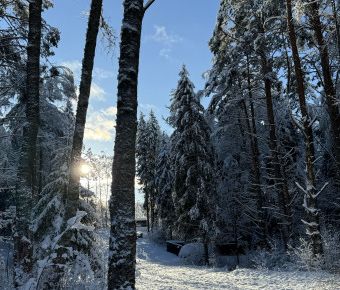 Мультитур Берегами Волги с проживанием в домиках Старица, Тверская область