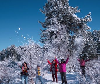 Зима На Алтае
