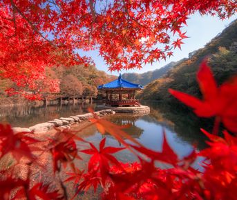 Южная Корея: от Сеула до Пусана