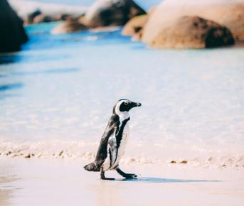 Юар для гедонистов и визуалов