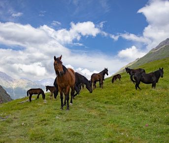 Приэльбрусье - царство горных панорам