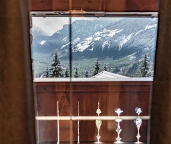 Австрийские каникулы