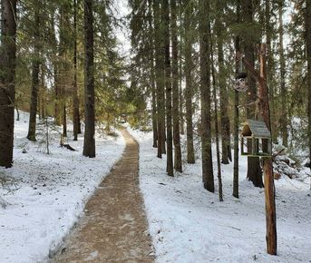 Зимние выходные в Карелии