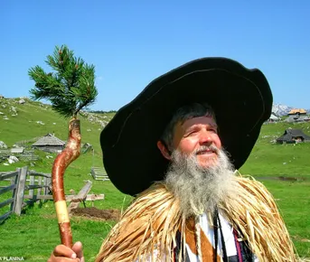 Квест-путешествие Волк в пастушьей шкуре