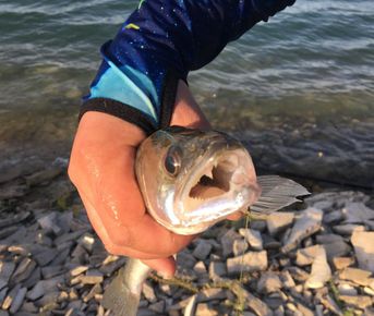 Рыбалка в Дагестане: три дня наедине с природой