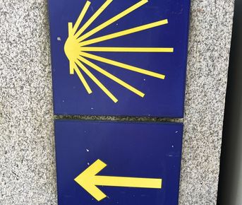 Камино Де Сантьяго  Легендарный Путь Паломников С Медитациями!