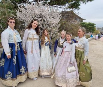 В погоне за Сакурой