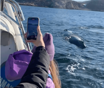 Арктический Вау - киты, водопады, Хибины