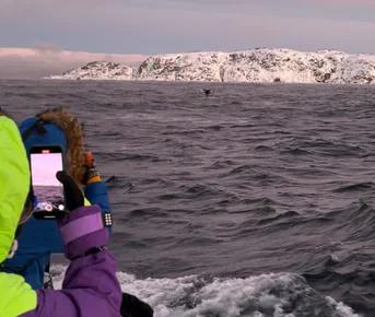 За Китами И Сиянием! Териберка, Сияние, Саамы и Ледокол