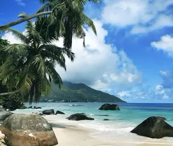 Райские Сейшелы на катамаране. Всё включено