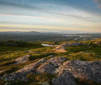 Национальный парк Паанаярви-сердце севера Карелии