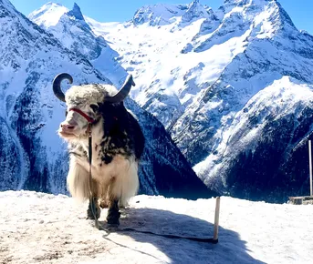 Джип тур в Домбай из Ессентуков -открытие новых горизонтов