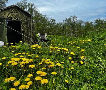 Рыбалка на Камчатского серебристоно красавца Кижуча!