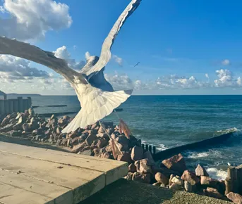 Три счастливых дня в Калининграде