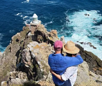 Влюбиться в Кейптаун. Сафари, пингвины