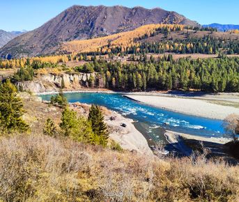7 дней Алтая. Вариант размещения Стандарт