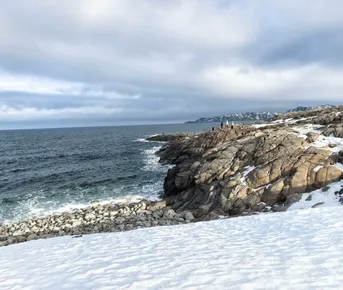 Большая экскурсия в Териберку.